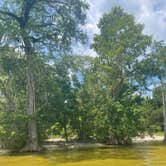 Review photo of Lake Waccamaw State Park Campground by Sara H., June 26, 2023