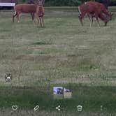 Review photo of Boston Harbor Islands State Park Campground by Timothey S., June 26, 2023