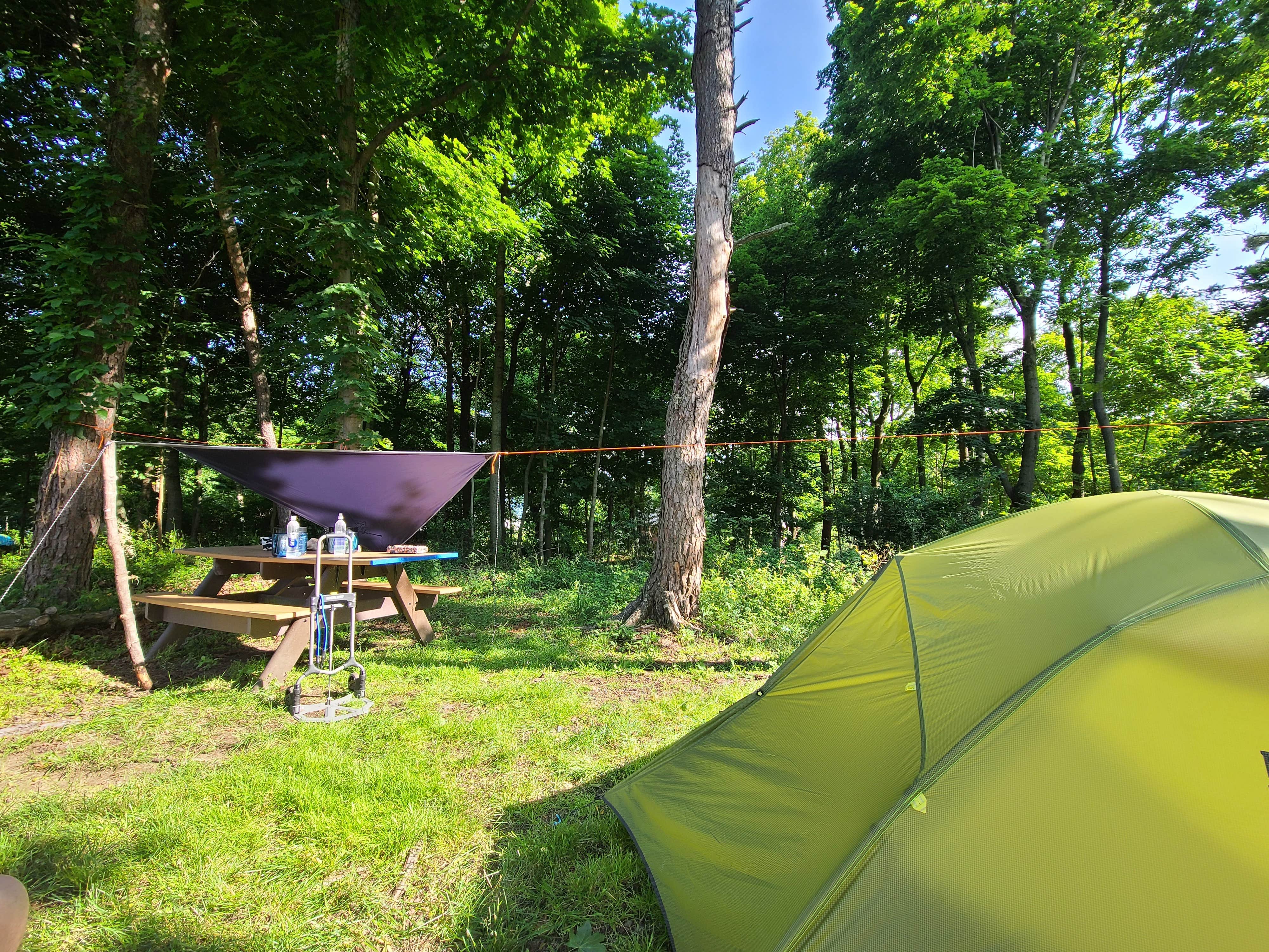 Tim S.'s photo at Boston Harbor Islands State Park Campground near Norwell, MA