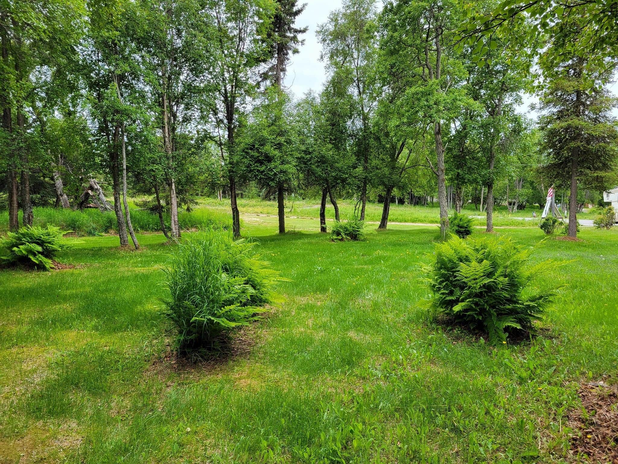 Camper-submitted photo at K-Beach Campground and Storage near Kenai, AK