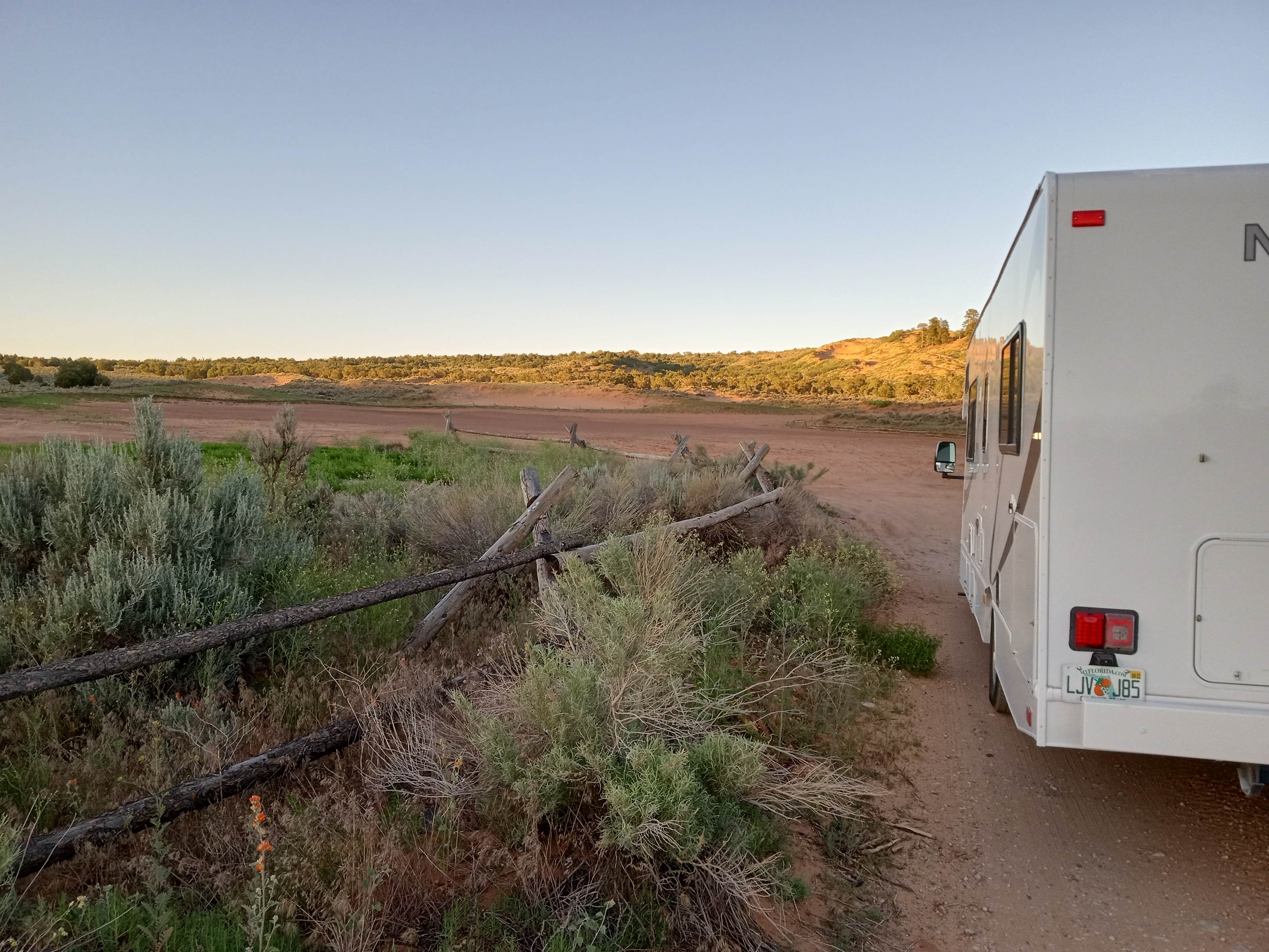 Camper-submitted photo at Meadows - Coral Pink Sand Dunes Dispersed near Fredonia, AZ