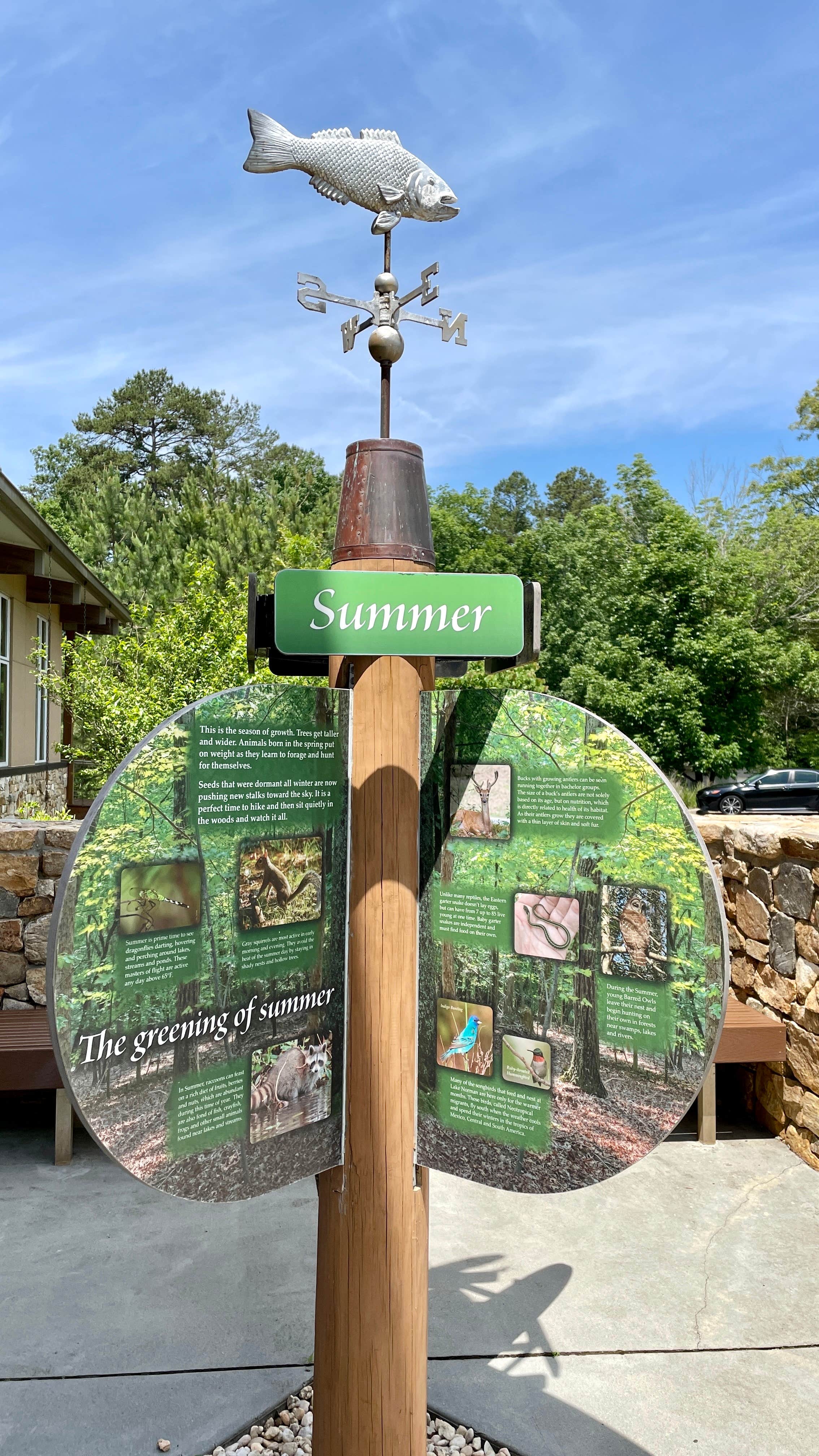 Camper submitted image from Lake Norman State Park Campground - 5