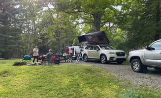 Sonyia W.'s photo at Babcock State Park Campground near Fayetteville, WV