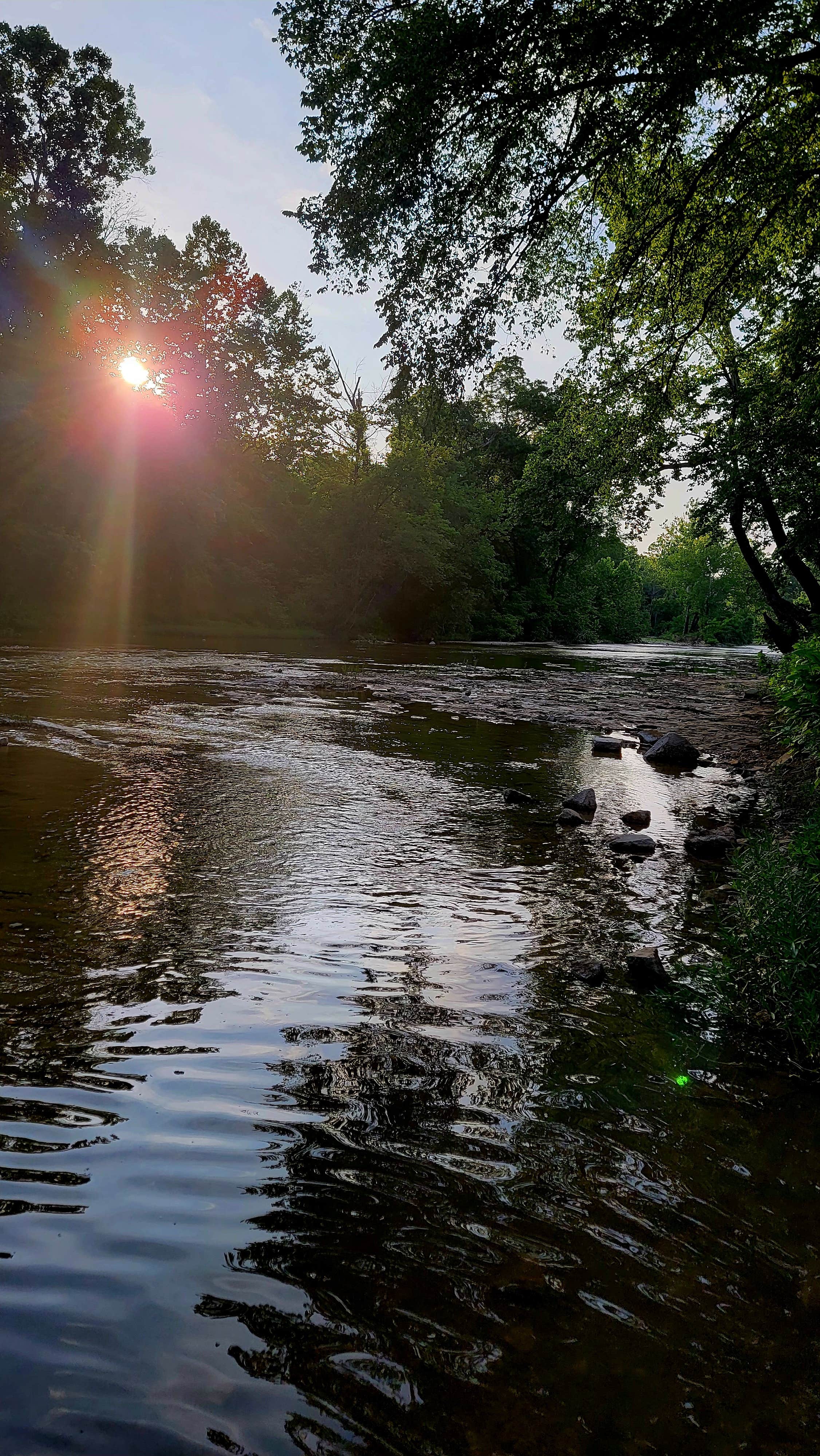 Camper submitted image from Bull Creek RV Park - 3