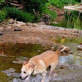 Review photo of Bull Creek RV Park by Felicia R., June 26, 2023