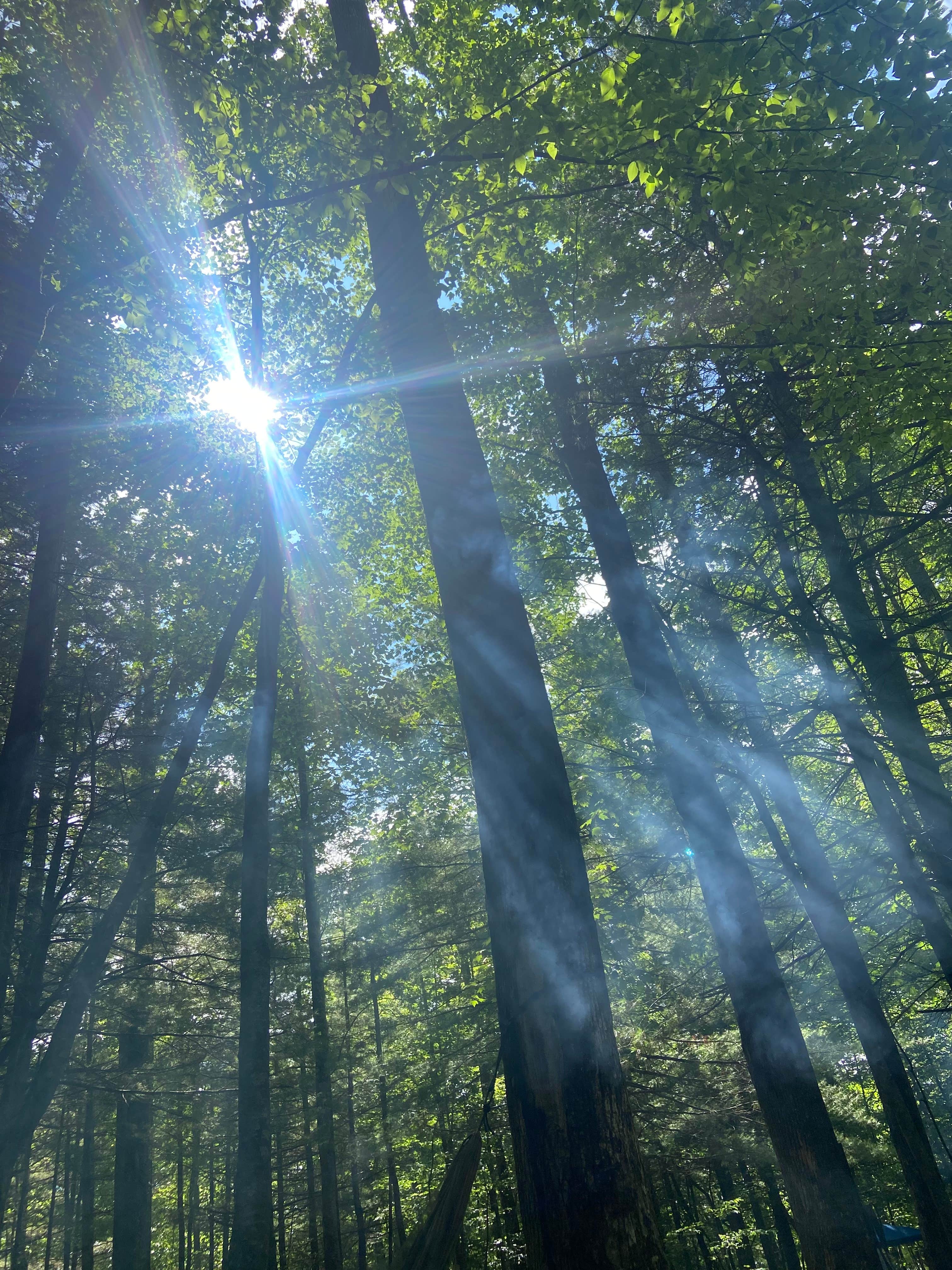 Camper-submitted photo at Black Forest Family Camping Resort near Flat Rock, NC