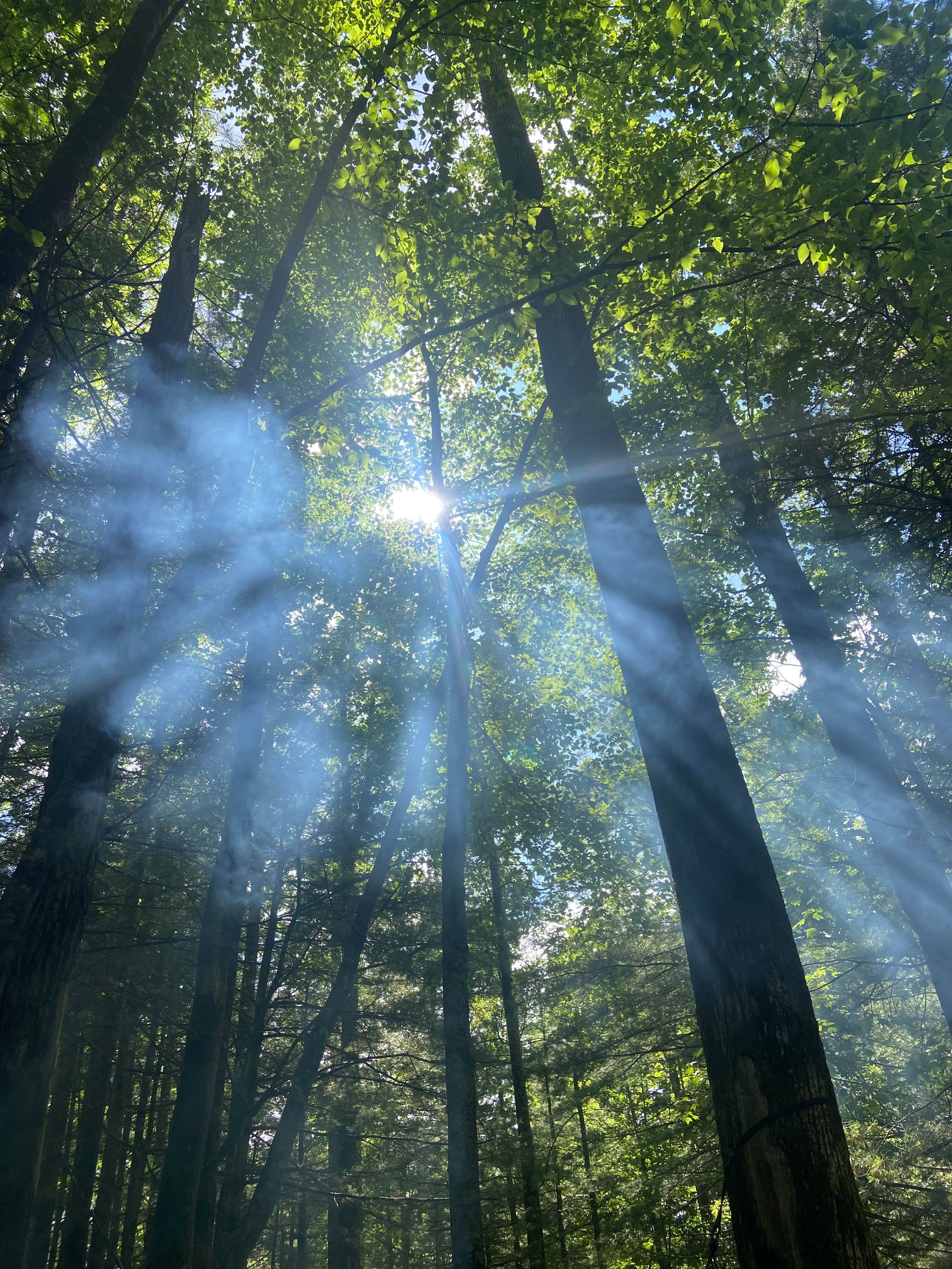Camper-submitted photo at Black Forest Family Camping Resort near Flat Rock, NC