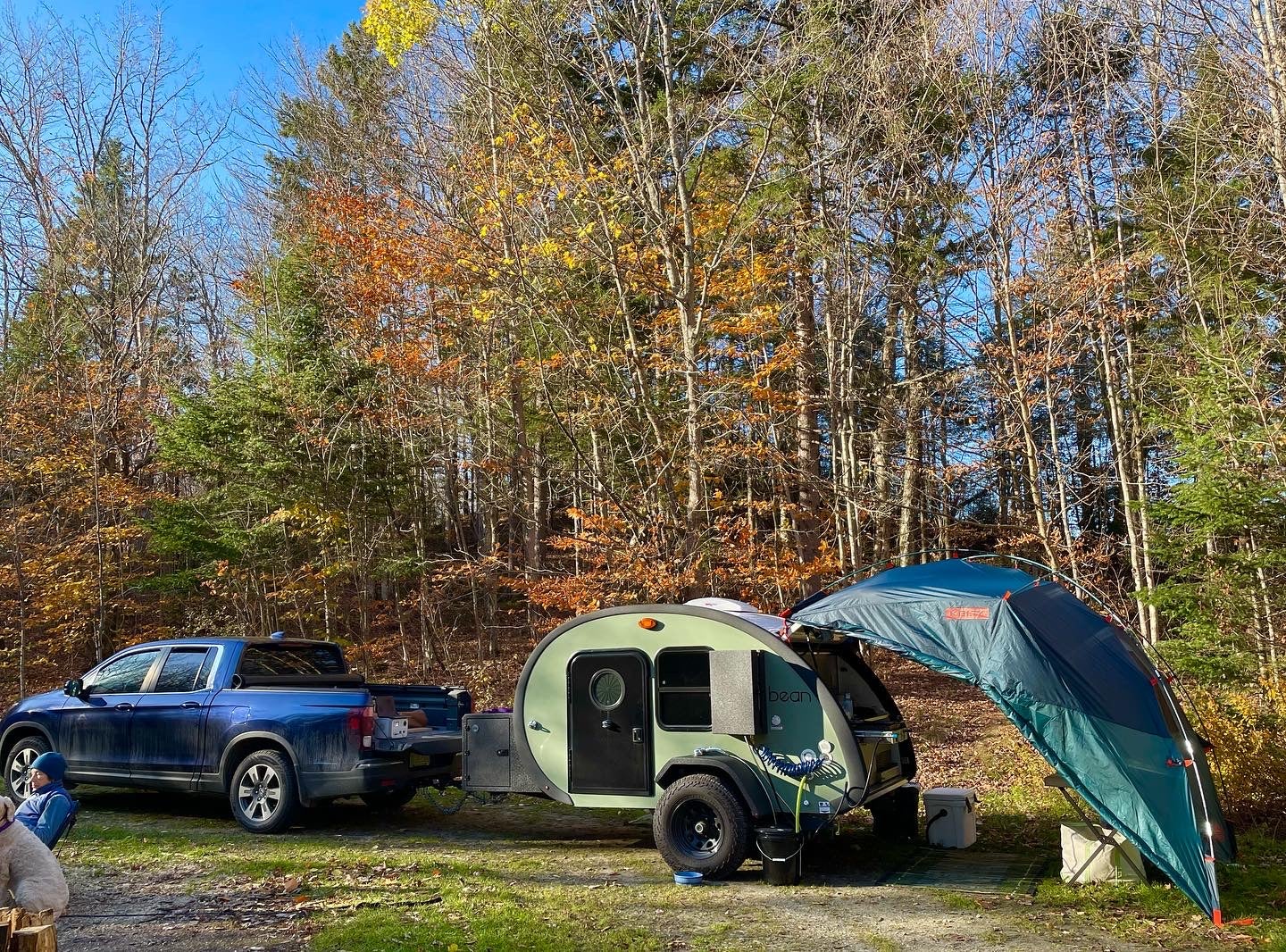 Camper submitted image from Statton Pond Camp on Forest Road 71 - 2