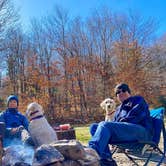 Review photo of Statton Pond Camp on Forest Road 71 by Tim M., June 26, 2023