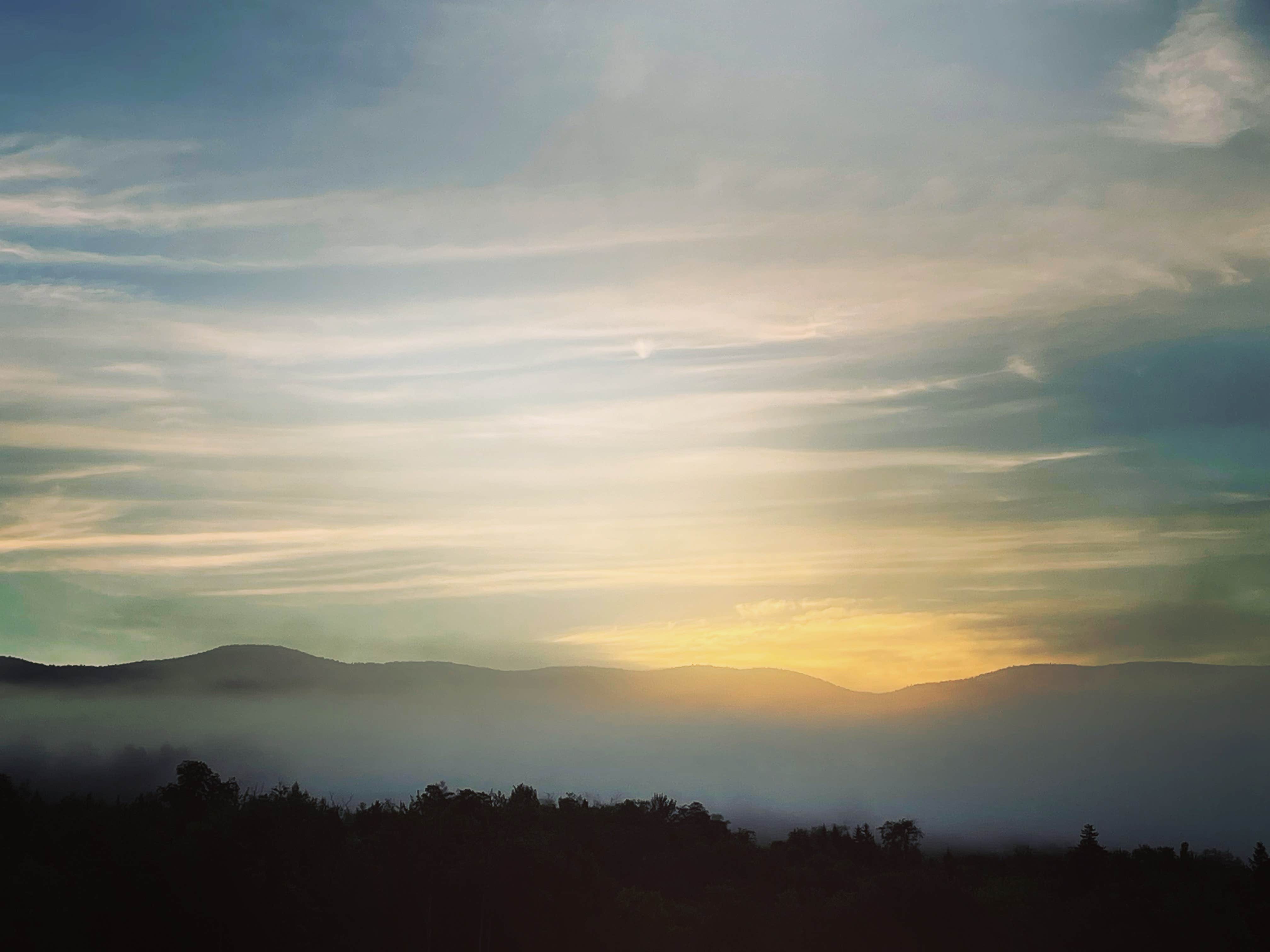 Tim M.'s photo of a dispersed camping area at Green Mountain National Forest FR207 near Lewis, NY