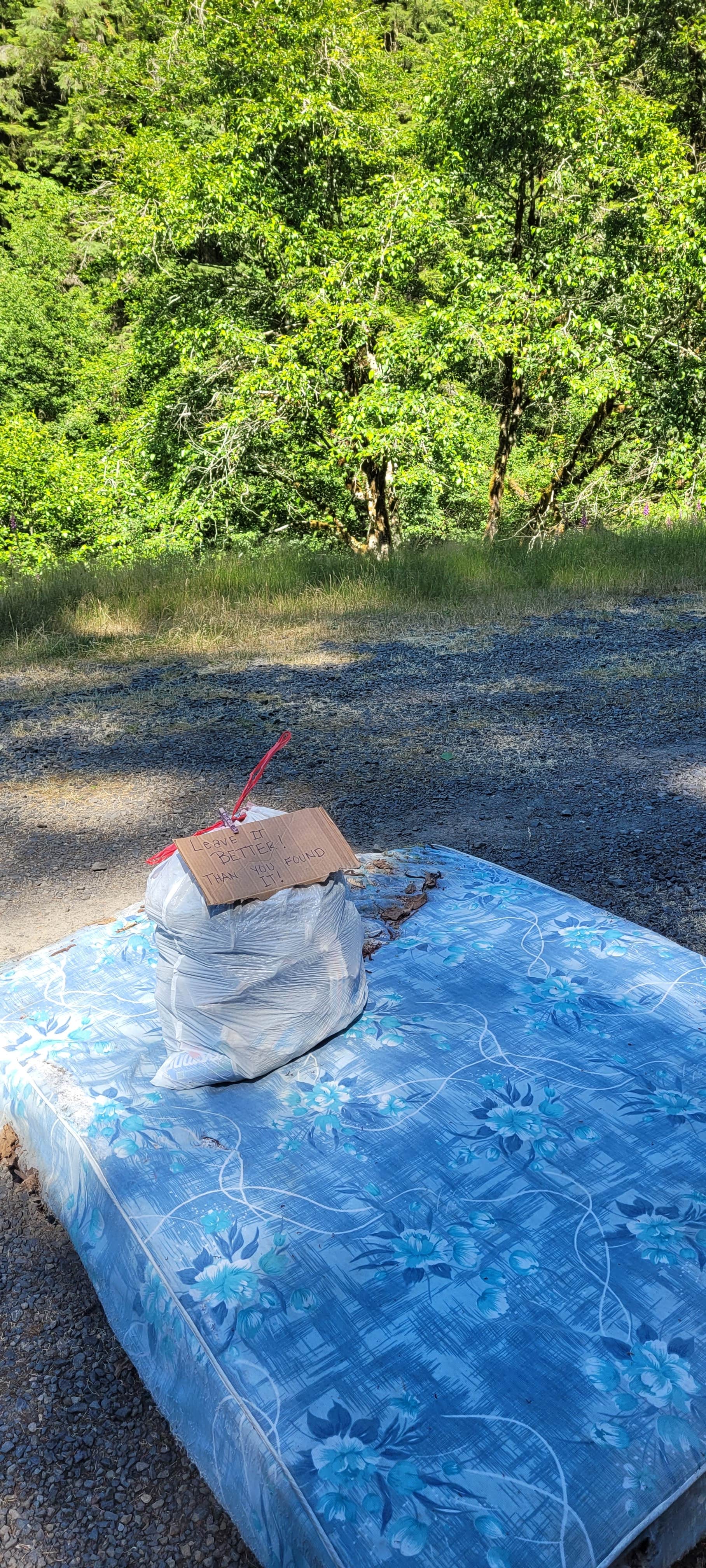 Camper-submitted photo at Quartzville Recreation Corridor near Albany, OR