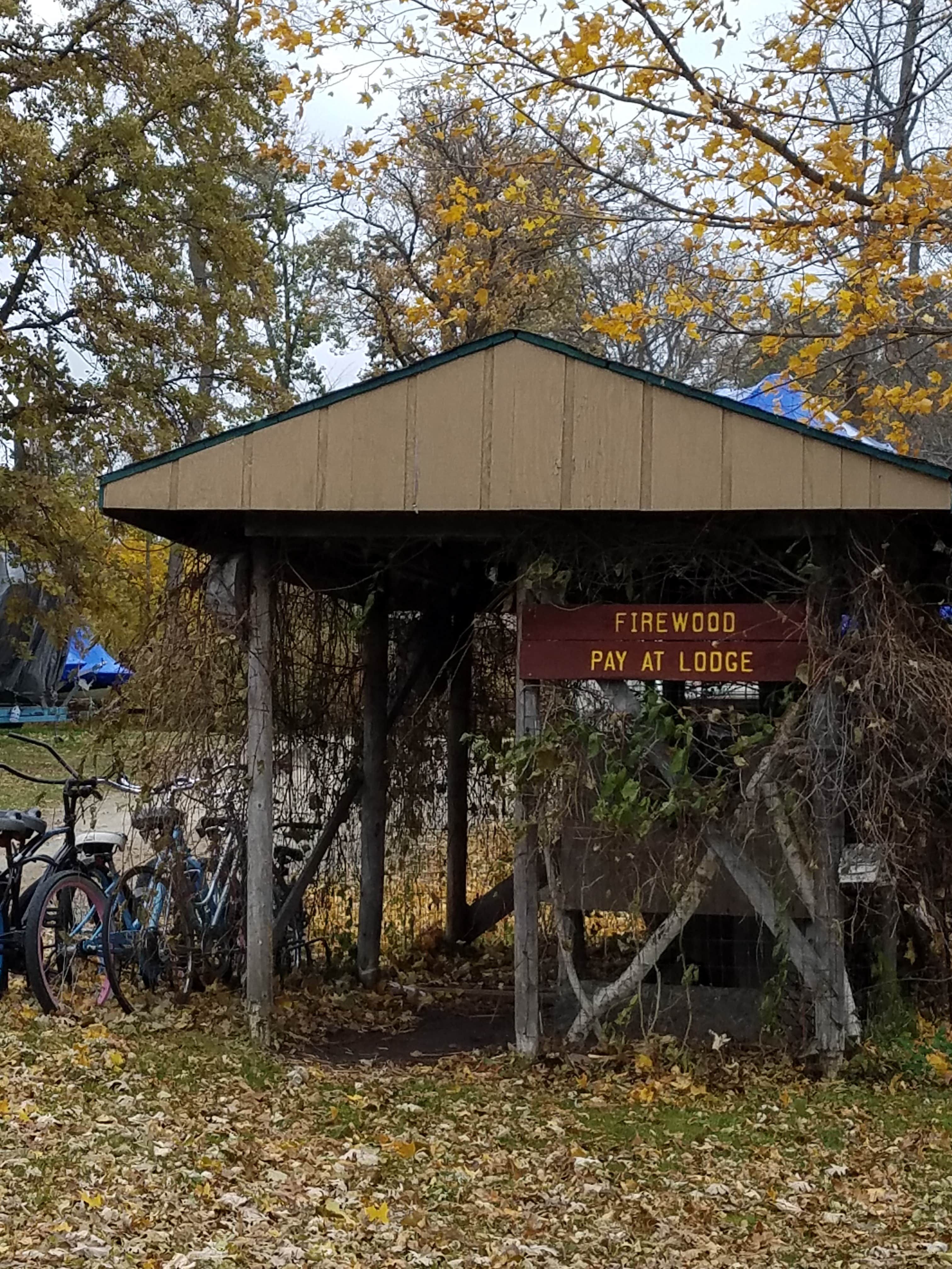 Camper submitted image from Shores Of Leech Lake RV & Marina - 4