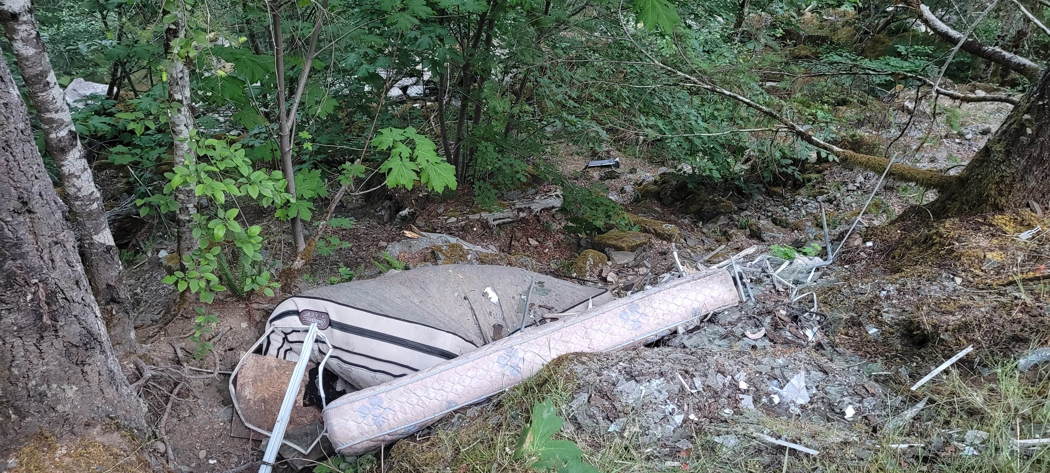 Camper-submitted photo at Quartzville Recreation Corridor near Albany, OR