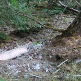 Review photo of Quartzville Recreation Corridor by Shainna M., June 26, 2023