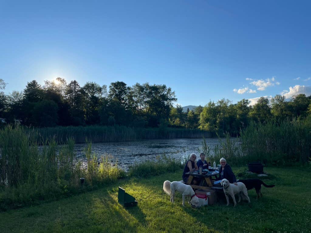 Tim M.'s photo of camping with pets at Gus's Gardens Camping near Charlemont, MA