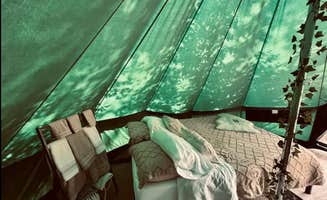 Brittnee L.'s photo of glamping accommodations at Hidden Brook Glamping near Jeffersonville, NY