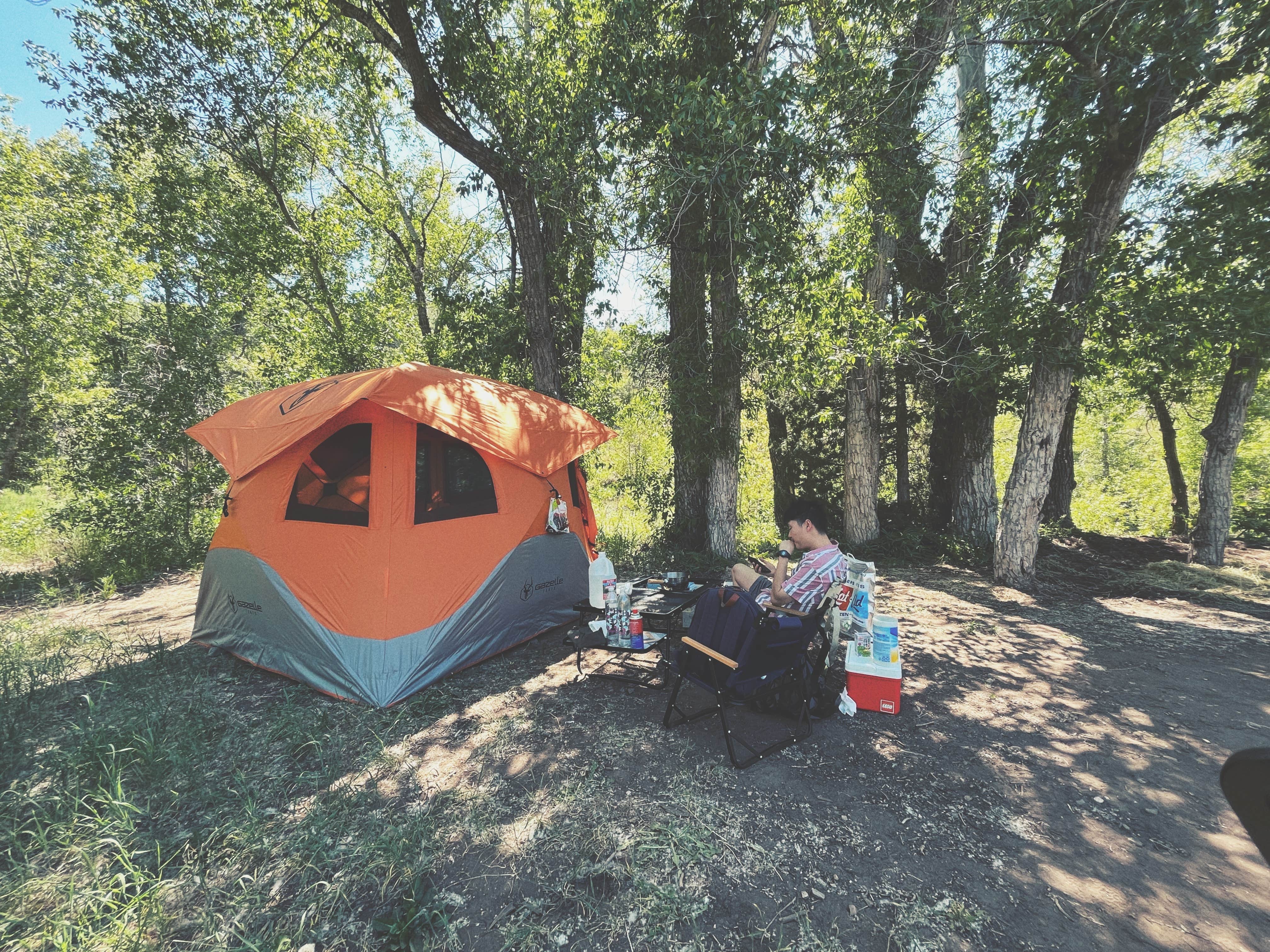Camper-submitted photo at Nebo Loop Road Dispersed Camping near Nephi, UT
