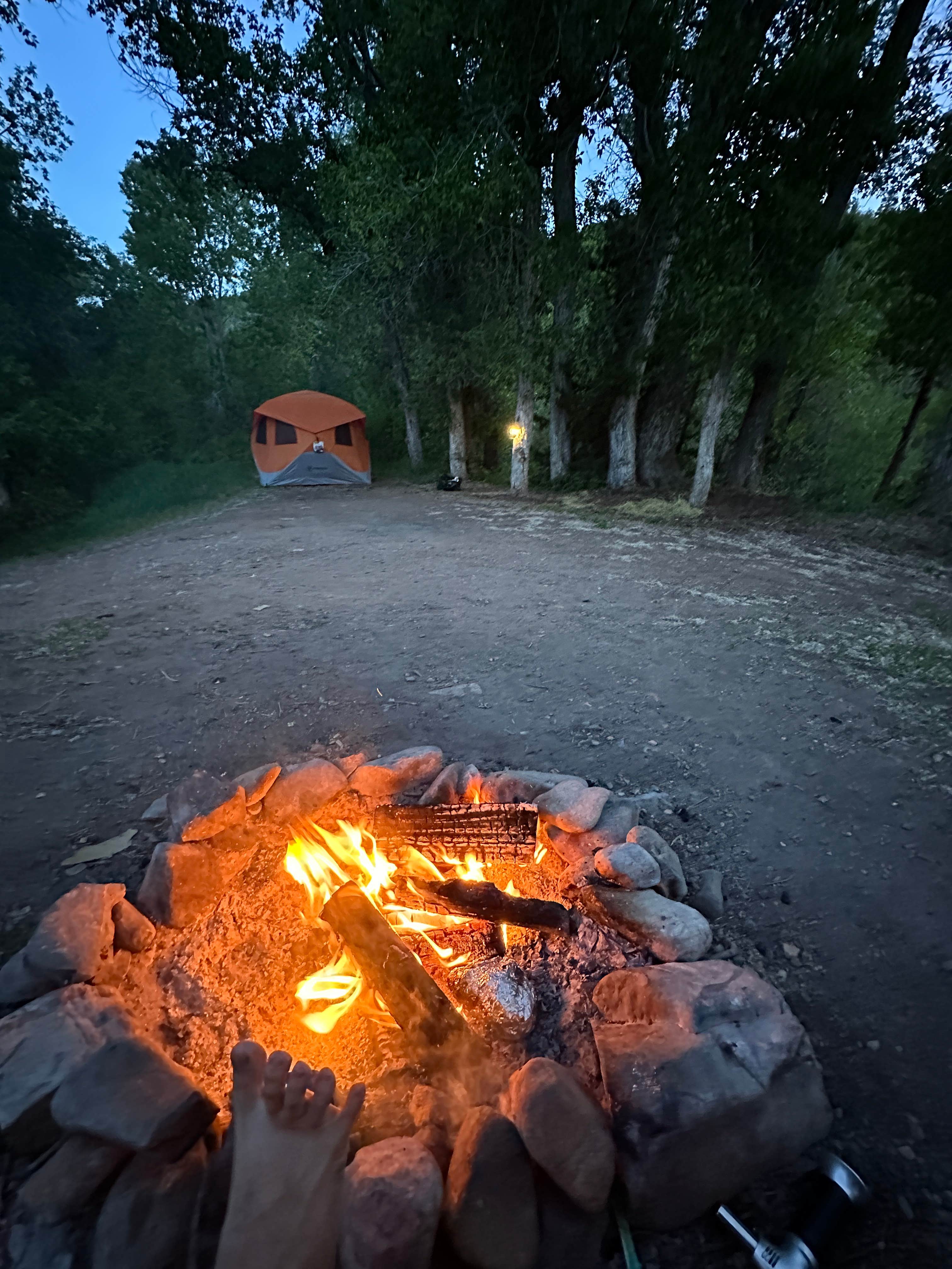 Camper submitted image from Nebo Loop Road Dispersed Camping - 1