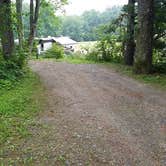 Review photo of Camden Hills State Park Campground by Jean C., October 19, 2018