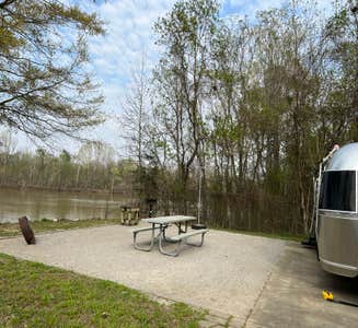 Camper-submitted photo from COE Demopolis Lake Foscue Creek Campground