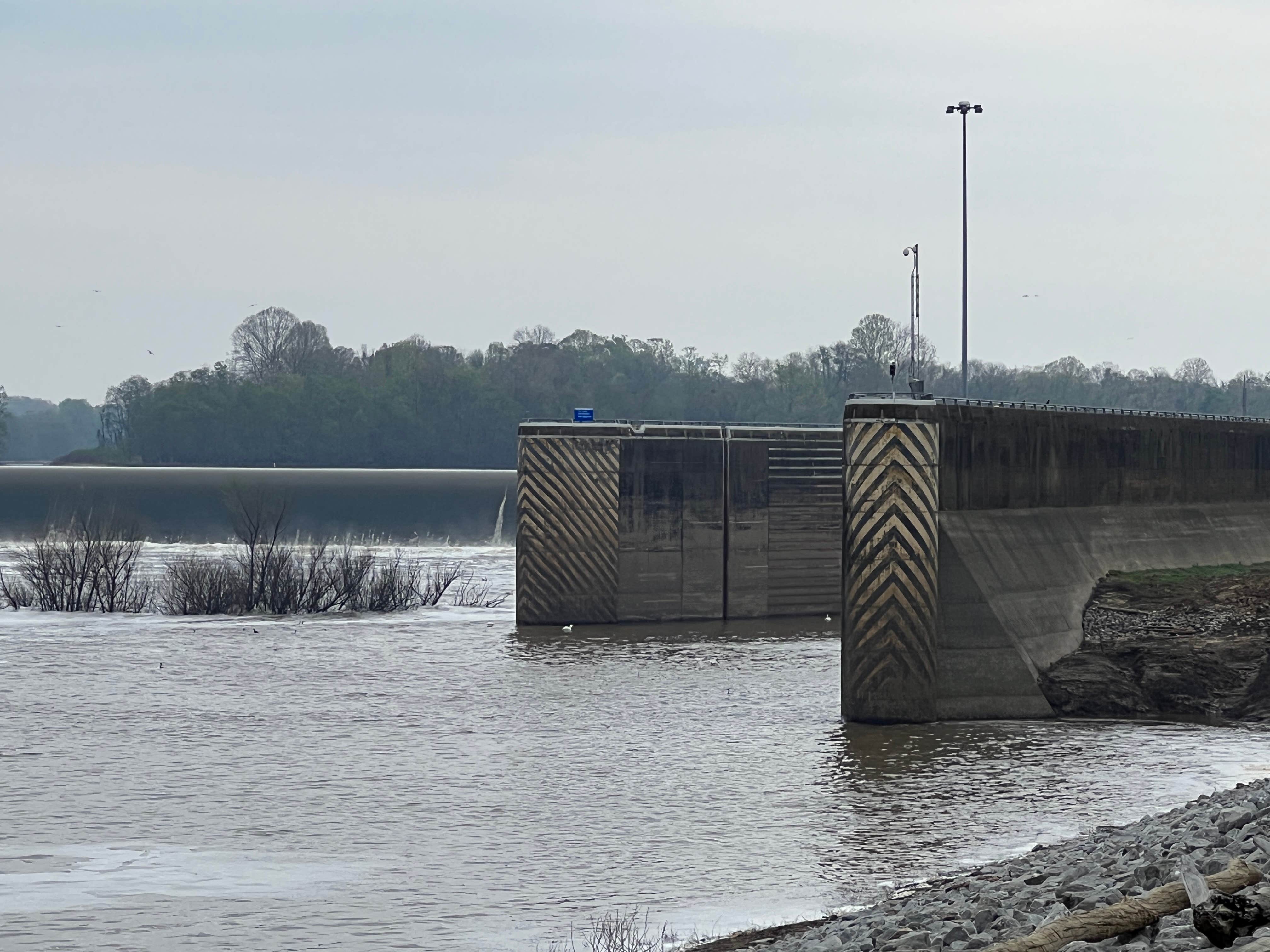 Camper-submitted photo at COE Demopolis Lake Foscue Creek Campground near Gallion, AL