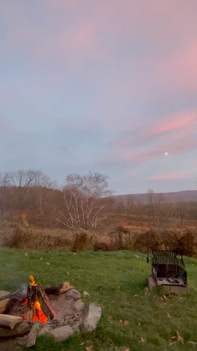 Camper submitted image from TimberTrail Farm - 4