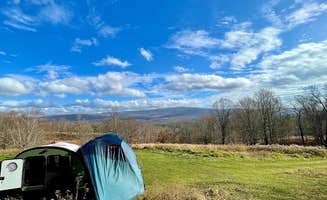 Tim M.'s photo at TimberTrail Farm near North Bennington, VT