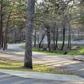 Review photo of Upper Improved Campground — Cheaha State Park by Napunani , June 26, 2023