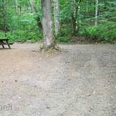 Review photo of Camden Hills State Park Campground by Jean C., October 19, 2018