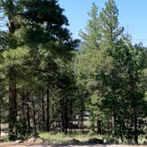 Review photo of Lakeview Campground (Az) — Coconino National Forest Recreation by Nick S., June 26, 2023