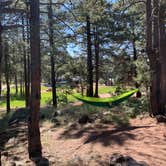 Review photo of Lakeview Campground (Az) — Coconino National Forest Recreation by Nick S., June 26, 2023