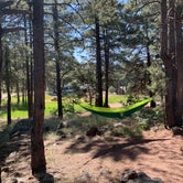 Review photo of Lakeview Campground by Nick S., June 26, 2023