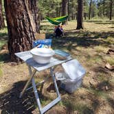 Review photo of Dispersed Camping Coconino by Nick S., June 26, 2023