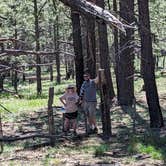 Review photo of Dispersed Camping Coconino by Nick S., June 26, 2023