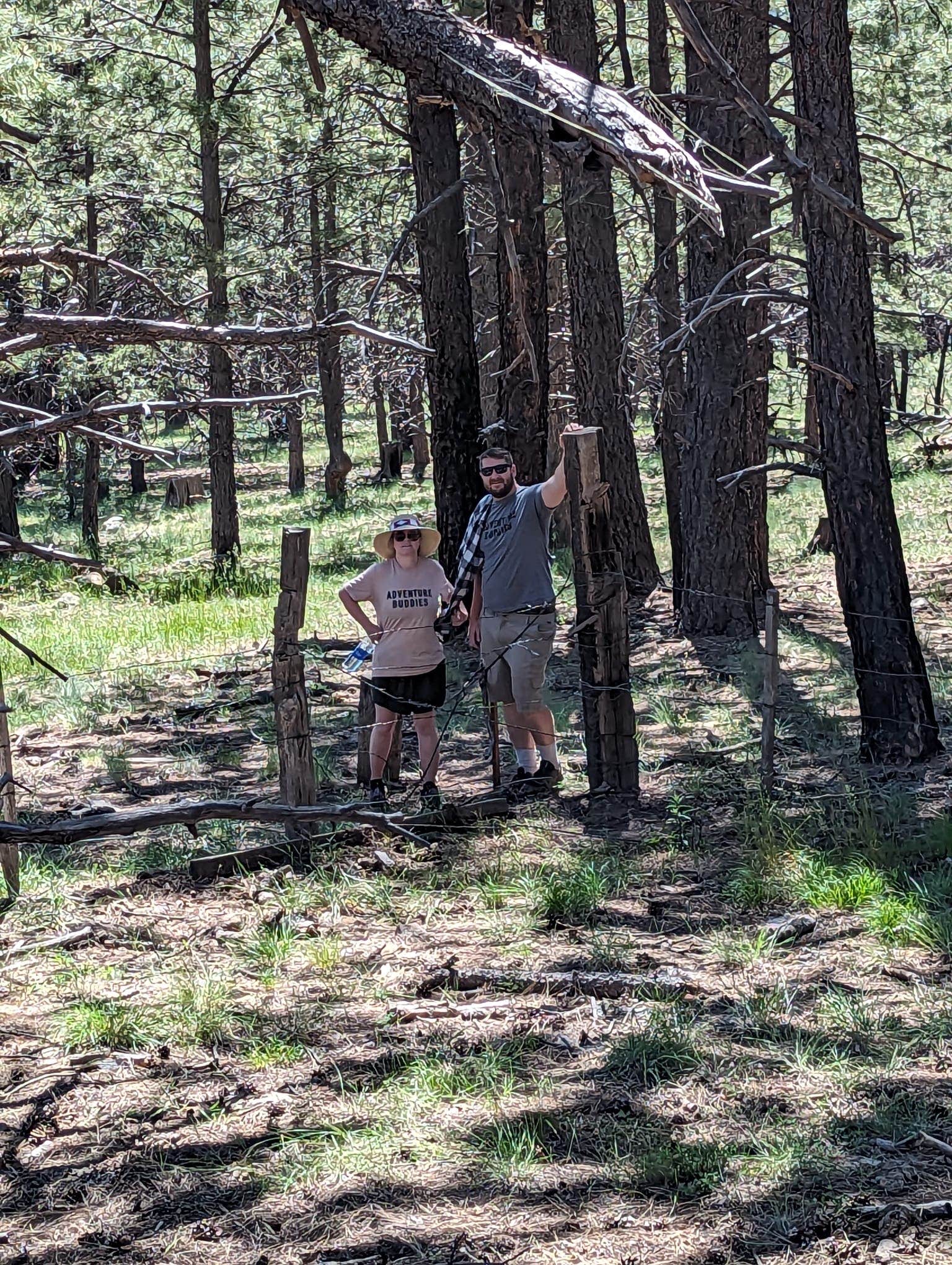 Camper submitted image from Dispersed Camping Coconino - 5