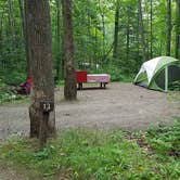 Review photo of Camden Hills State Park Campground by Jean C., October 19, 2018