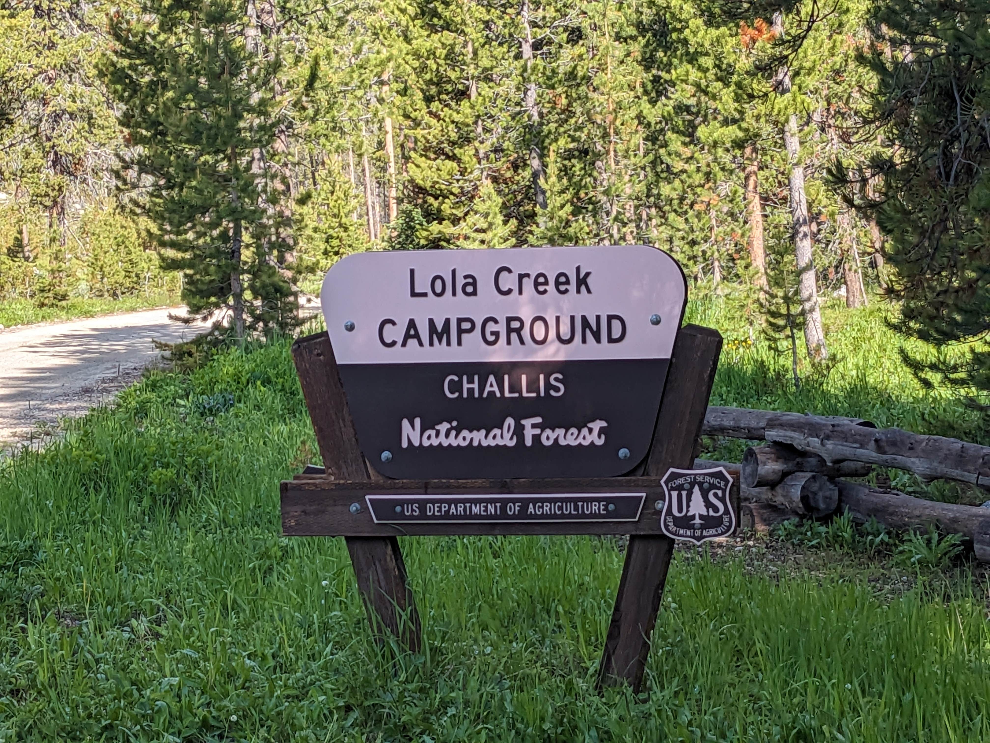 Camper submitted image from Lola Creek Campground - 2