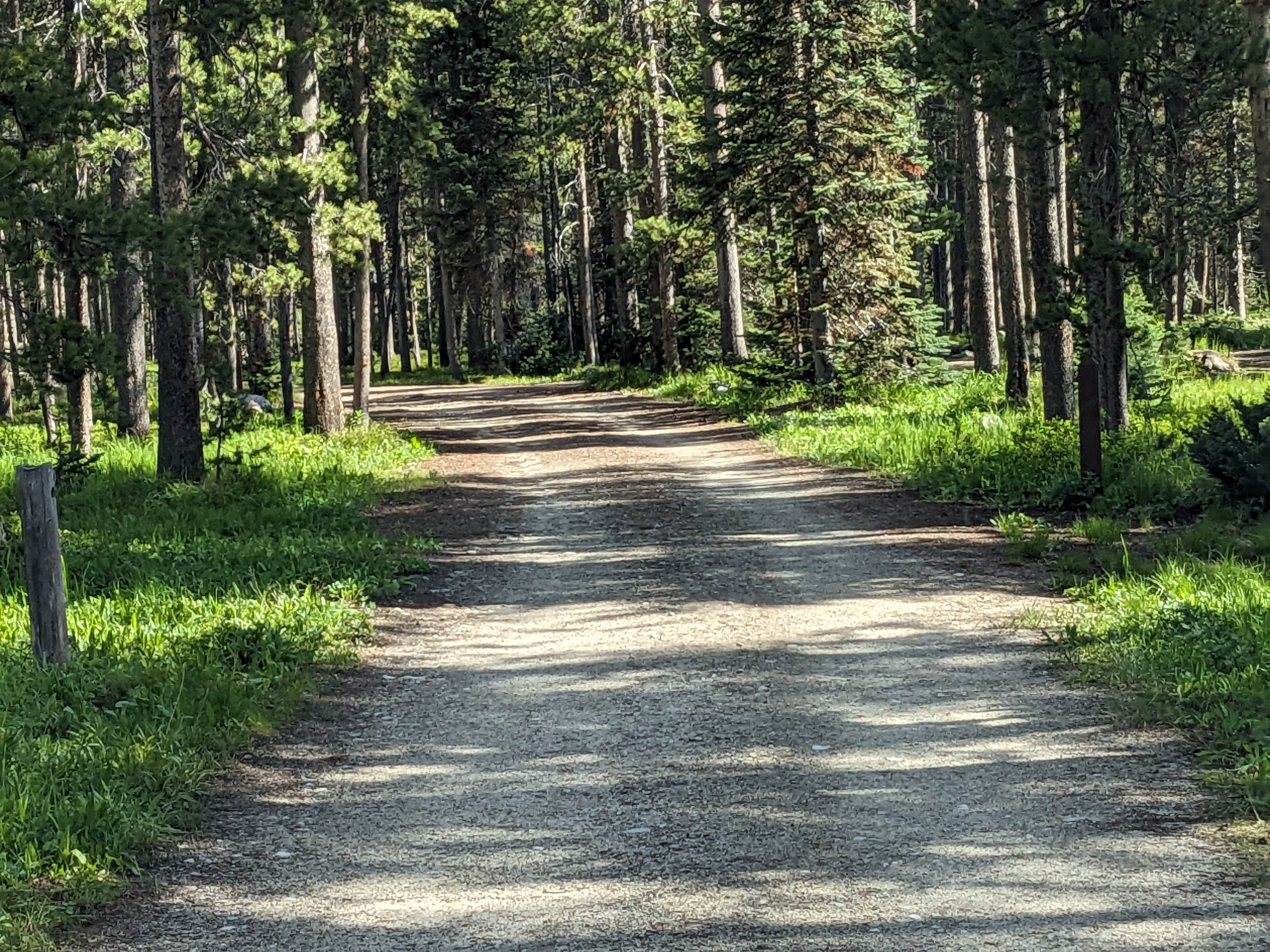 Camper submitted image from Lola Creek Campground - 4