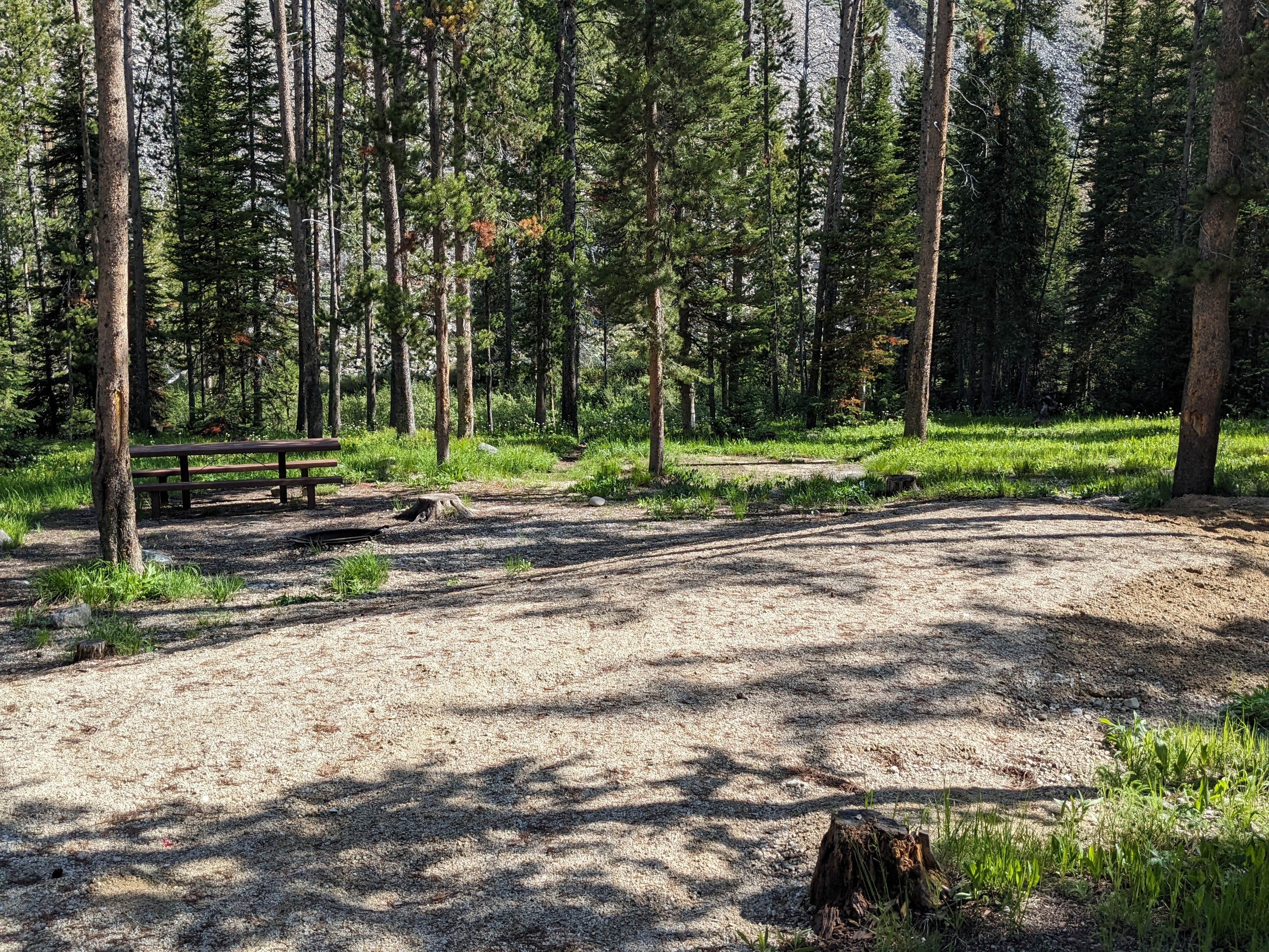 Camper submitted image from Lola Creek Campground - 5
