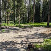 Review photo of Lola Creek Campground by Greg L., June 26, 2023