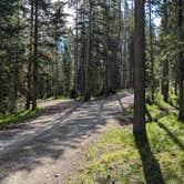 Review photo of Lola Creek Campground by Greg L., June 26, 2023