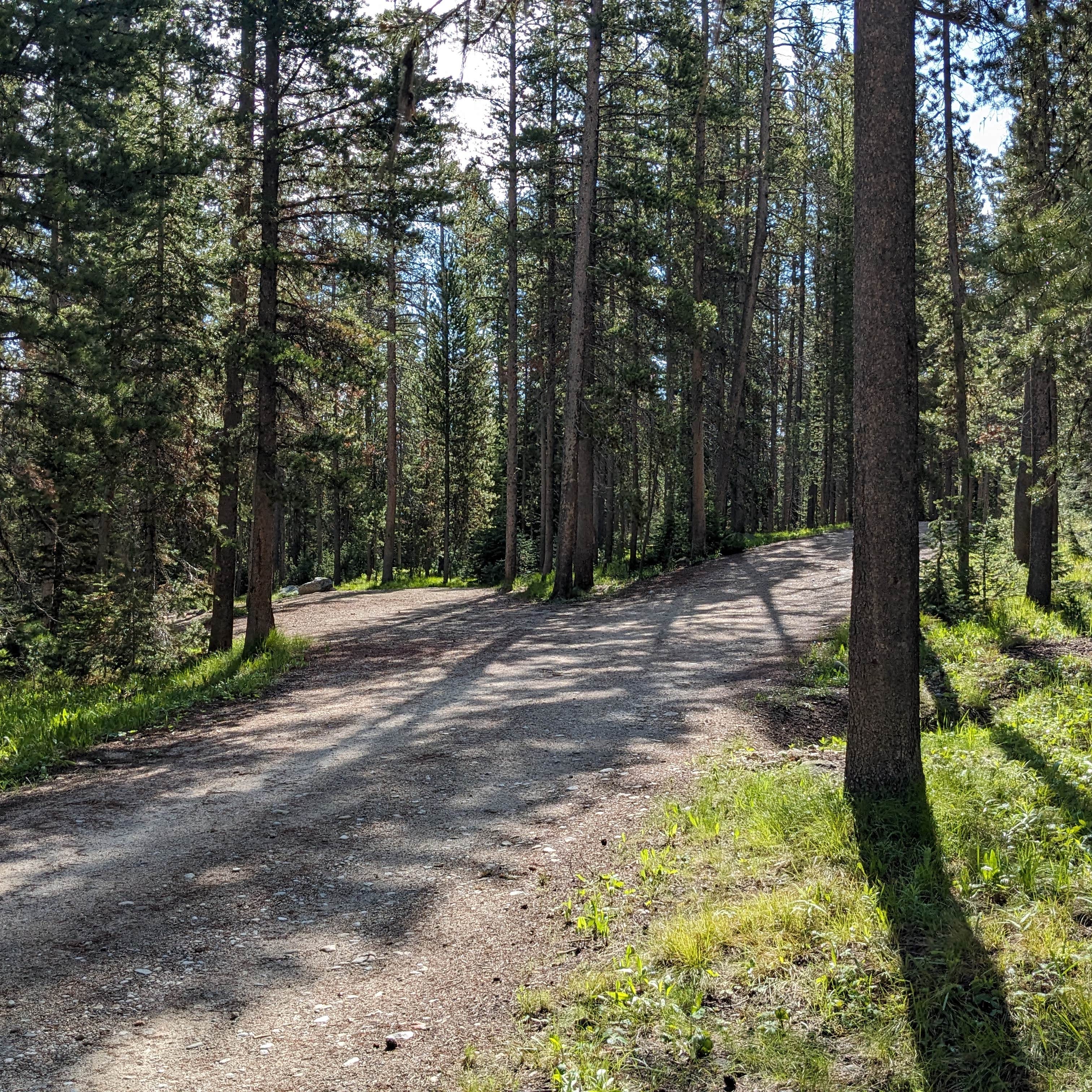 Escape To Serenity: Lola Creek Campground, Idaho