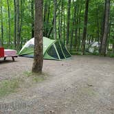 Review photo of Camden Hills State Park Campground by Jean C., October 19, 2018