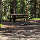 Review photo of Lola Creek Campground by Greg L., June 26, 2023