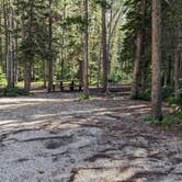 Review photo of Lola Creek Campground by Greg L., June 26, 2023