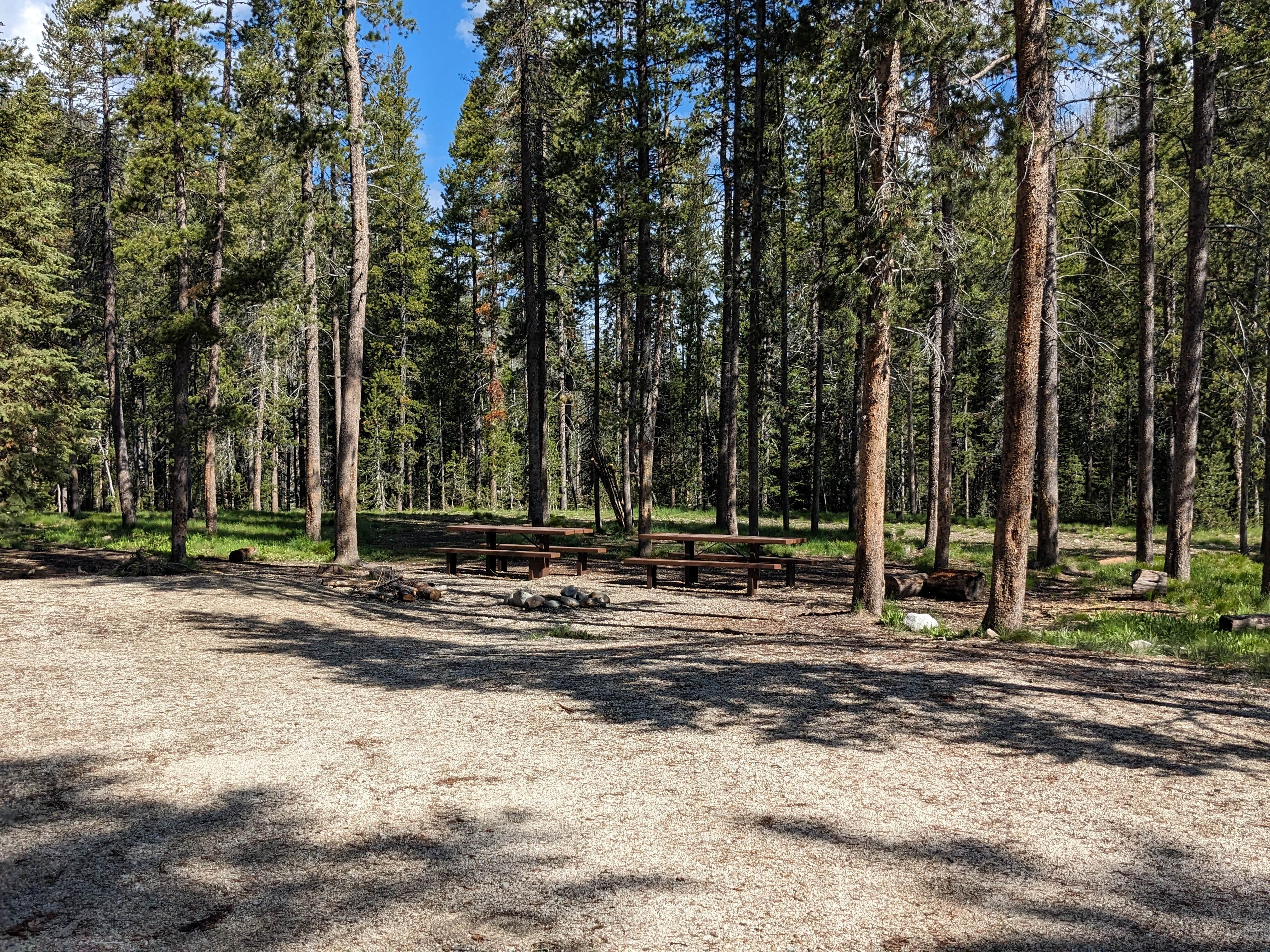 Greg L.'s photo of camping with pets at Lola Creek Campground near Salmon-Challis National Forest