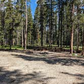 Review photo of Lola Creek Campground by Greg L., June 26, 2023