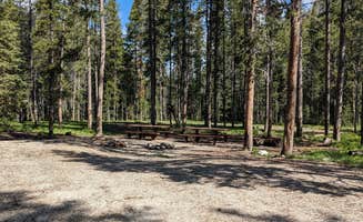 Greg L.'s photo of camping with pets at Lola Creek Campground near Stanley, ID