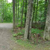 Review photo of Camden Hills State Park Campground by Jean C., October 19, 2018