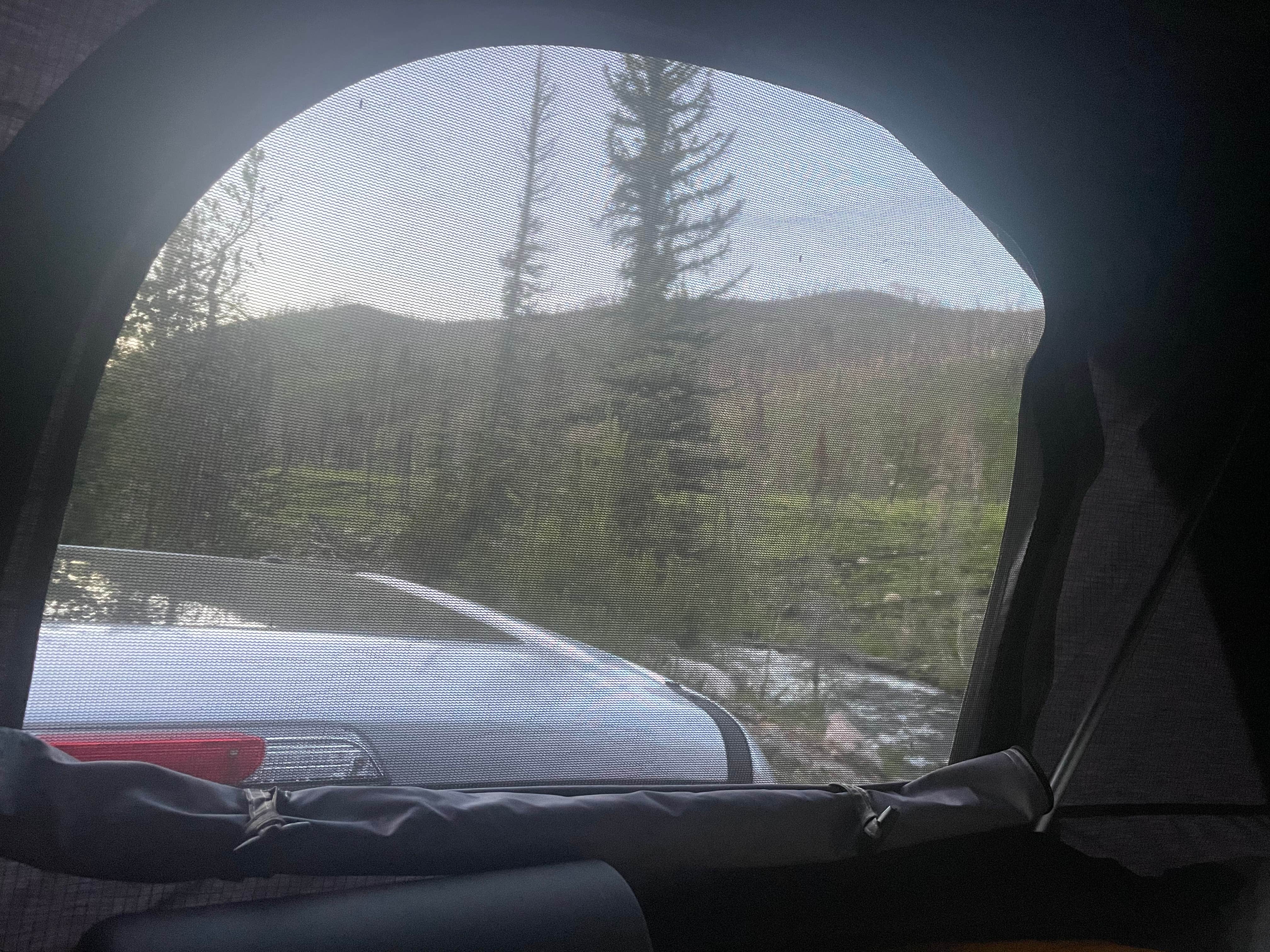 Ute Pass Dispersed Camping